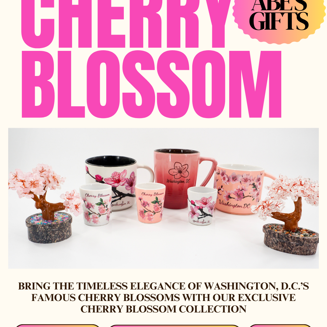 Cherry Blossom Washington DC