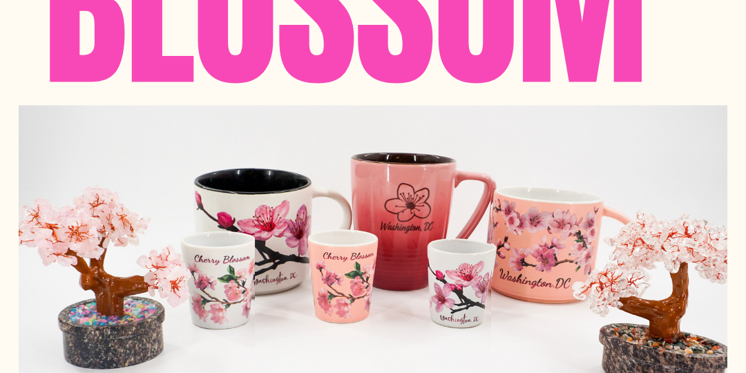 Cherry Blossom Washington DC