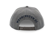 Washington DC Nation's Capital Round Logo