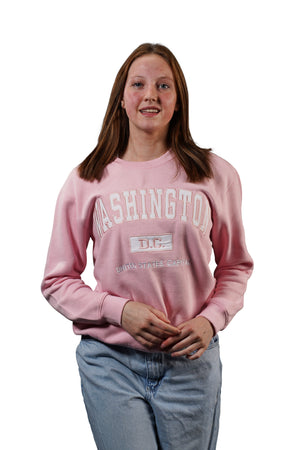 Washington DC Crewneck Embroidered Pink