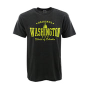 Neon Washington DC Charcoal T-Shirt