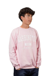 Washington DC United State Capital Embroidered Crewneck