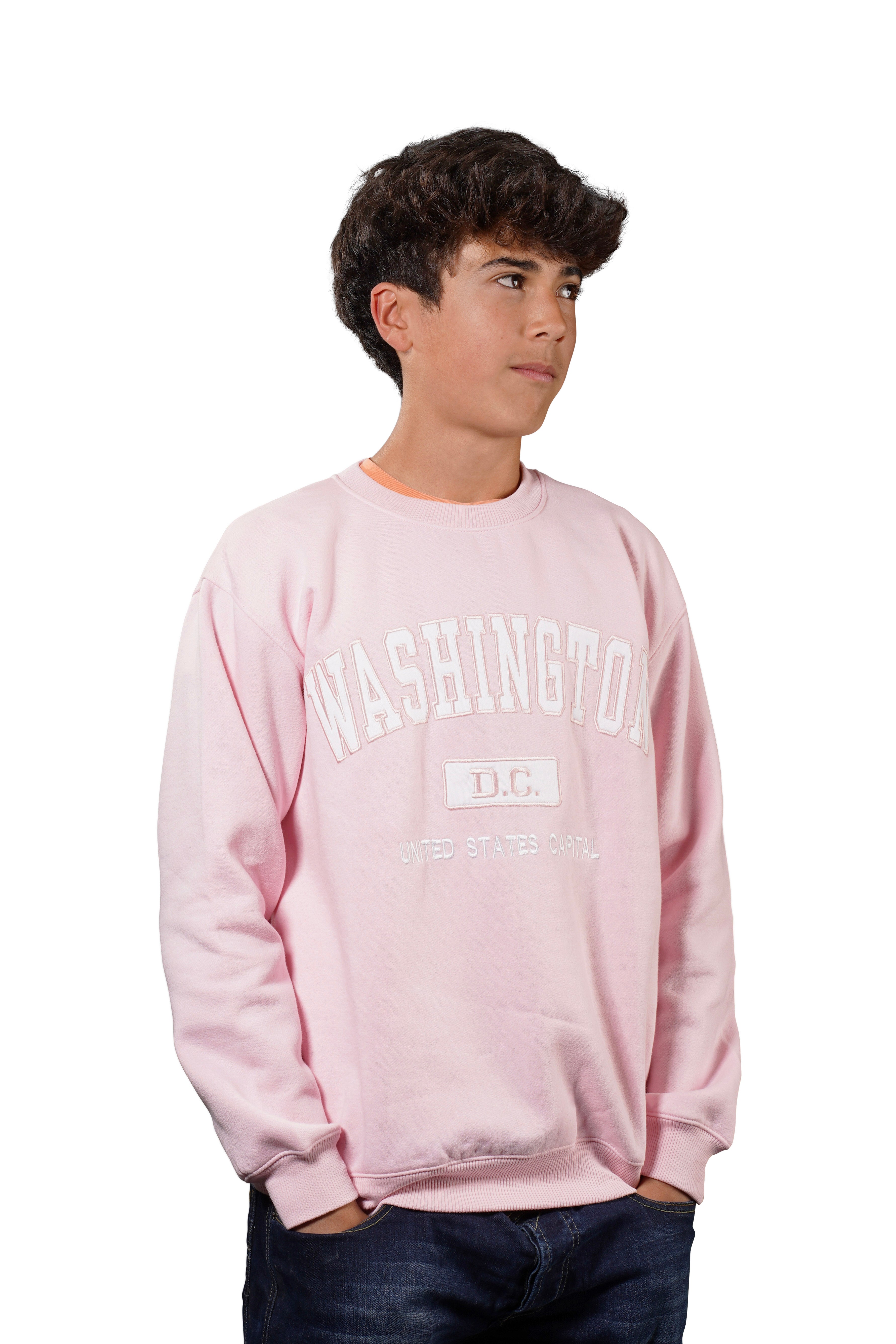 Washington DC United State Capital Embroidered Crewneck