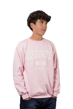 Washington DC Crewneck Embroidered Pink