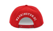 Washington DC Nation's Capital Round Logo