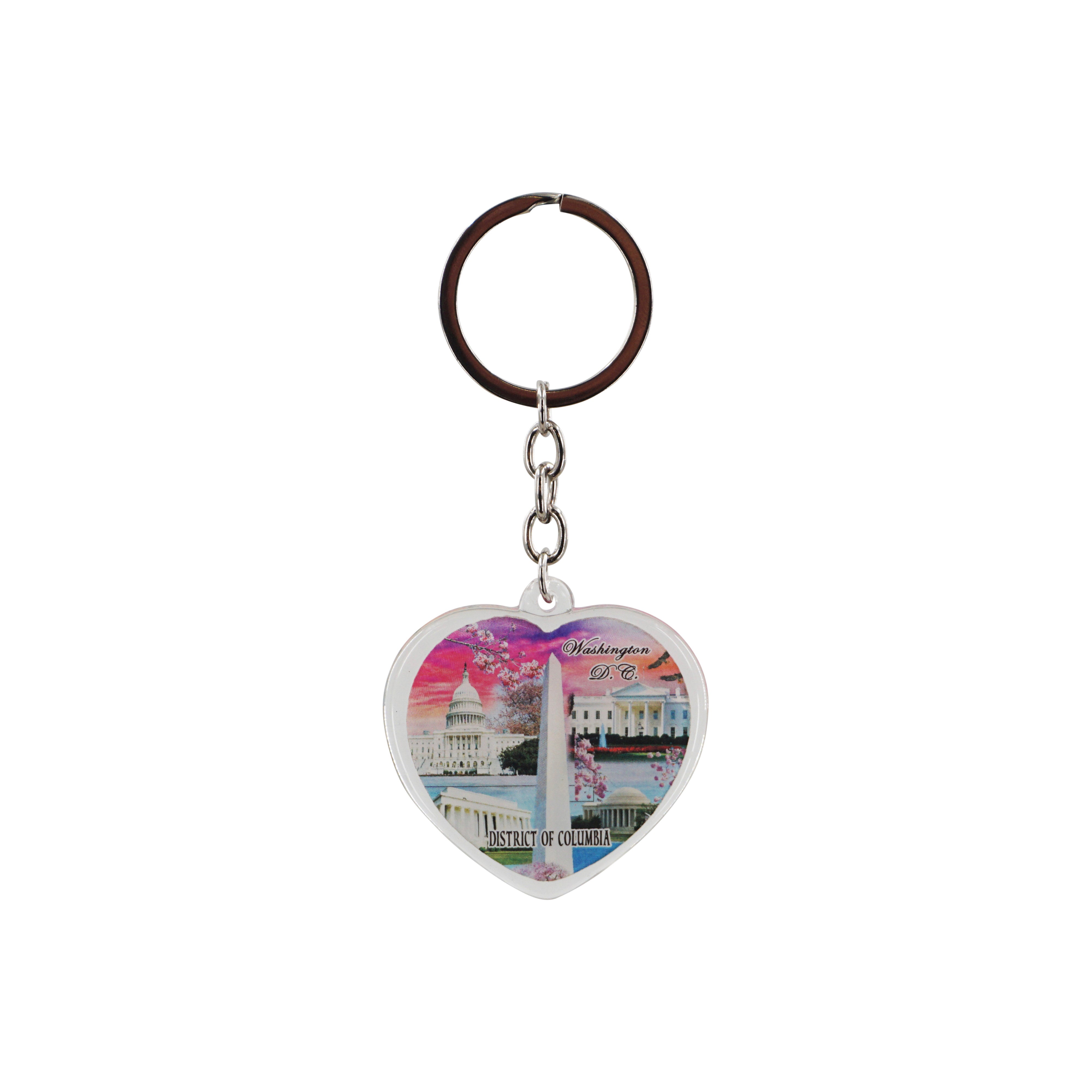 Cherry Blossom Five Buildings Washington D.C Lucite Keychain