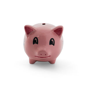 Washington DC Panorama Piggy Bank (Pink and Blue)