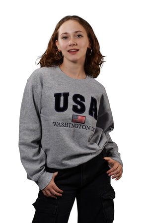 Washington DC Crewneck USA Flag Gray