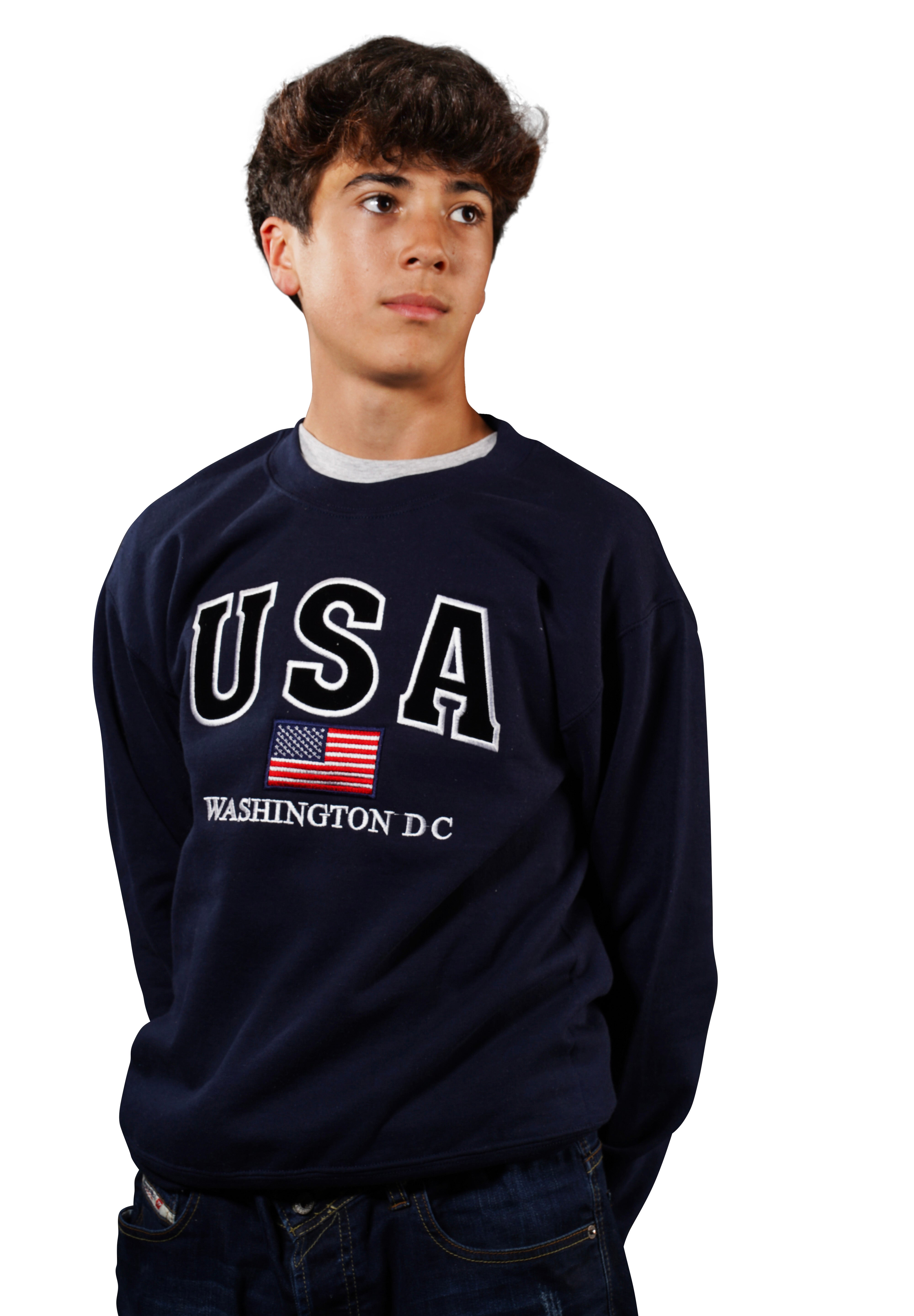 Washington DC Crewneck USA Flag