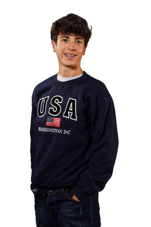 Washington DC Crewneck USA Flag Navy