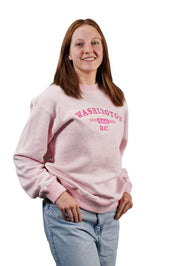 Washington DC Crewneck Nantucket Ice