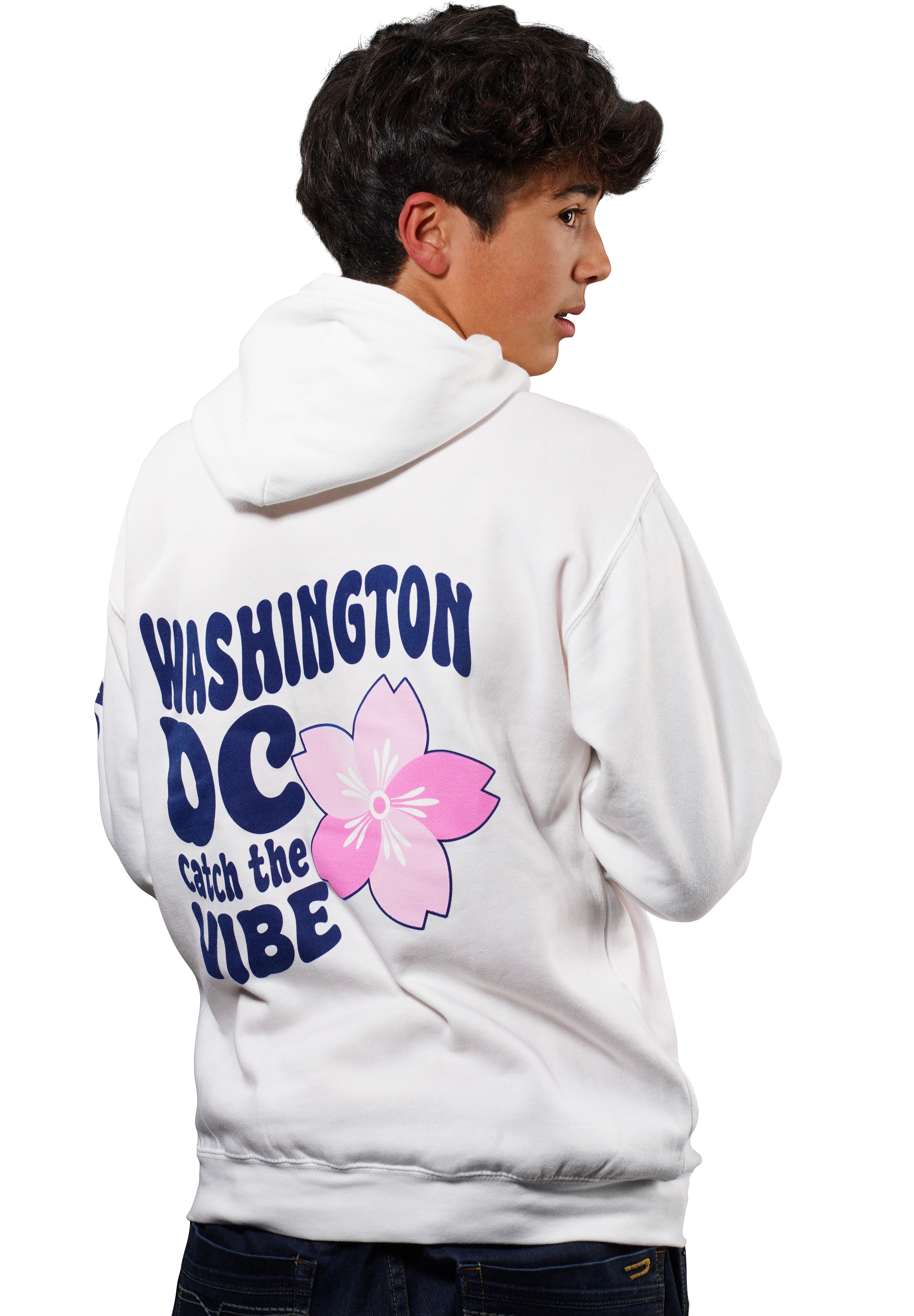 Washington DC Hoodie "Catch the Vibe"
