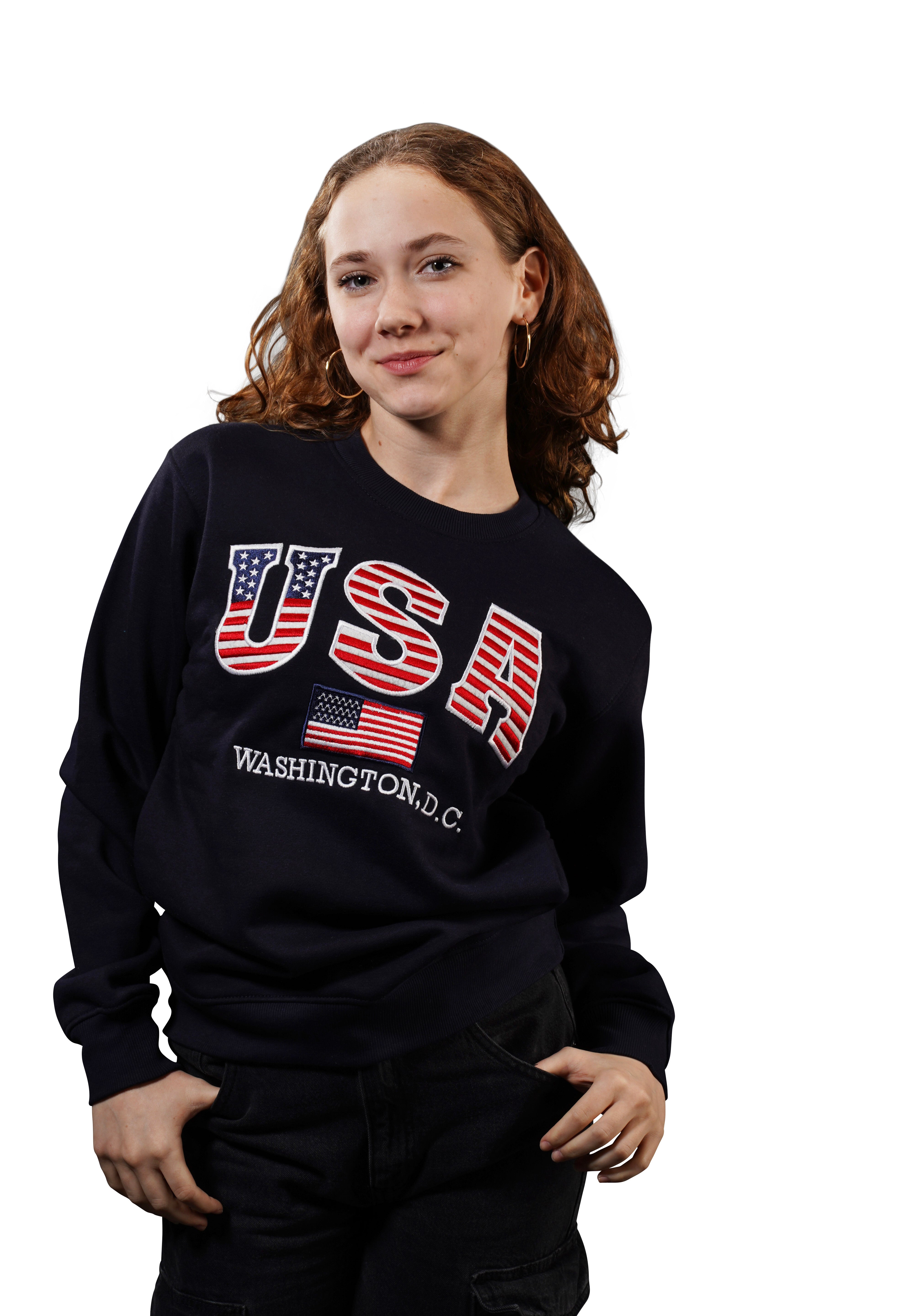 Washington DC Crewneck USA Flag Stitches