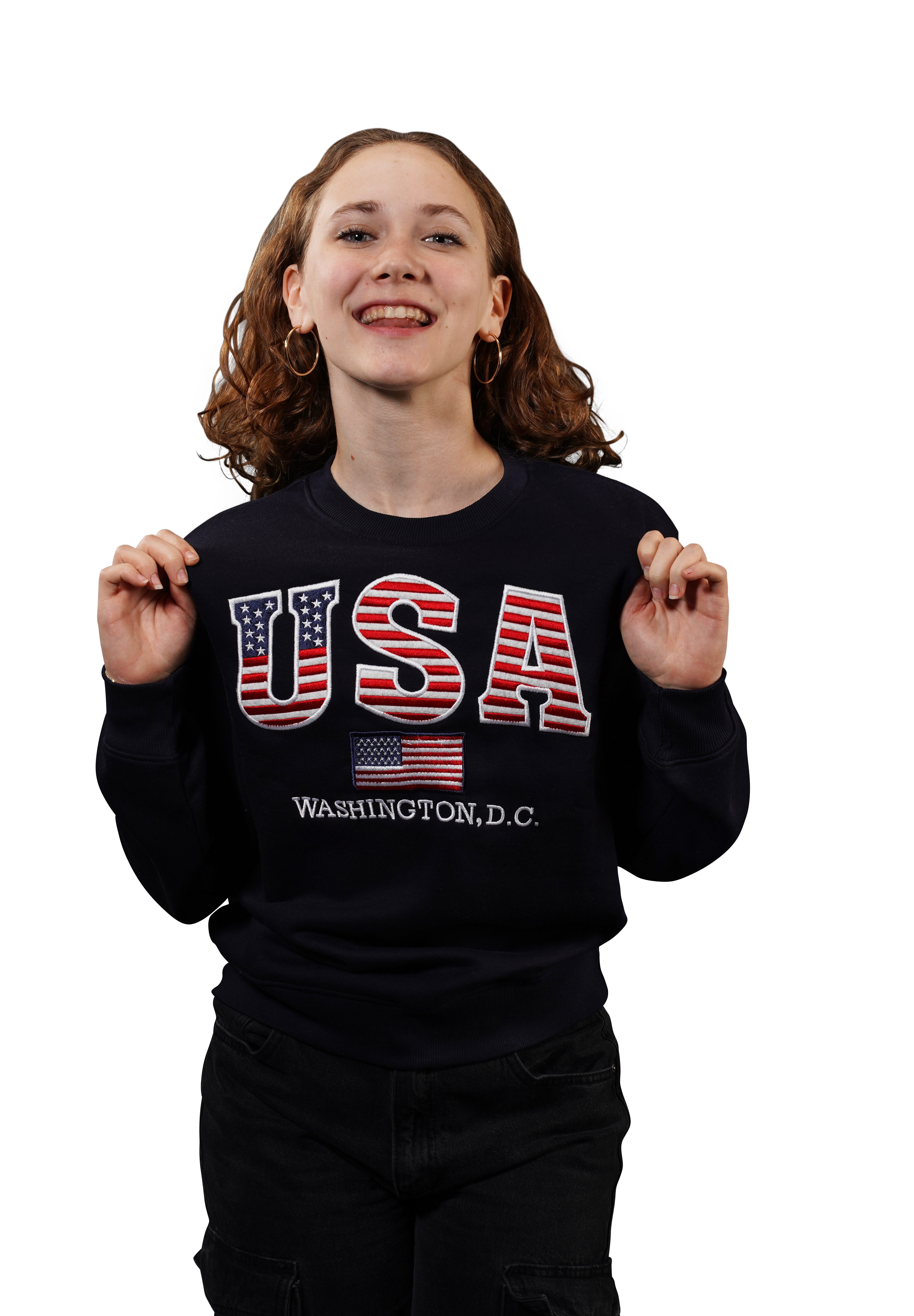 Washington DC Crewneck USA Flag Stitches