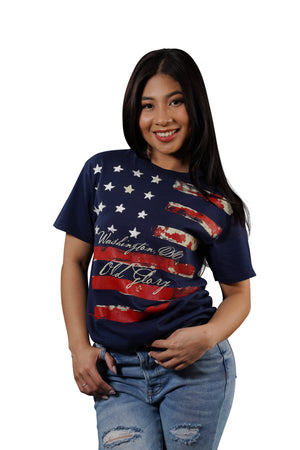 Washington DC USA Flag Distress T-Shirt