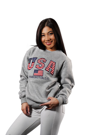 Washington DC Crewneck USA Flag Stitches Gray