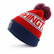 Washington DC Ski Hat