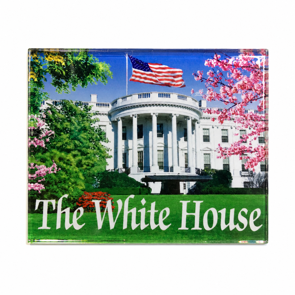 White House & Cherry Blossom Plastic Magnet