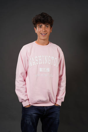 ADULT CREWNECK EMBROIDERY WASHINGTON DC PINK