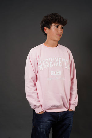 ADULT CREWNECK EMBROIDERY WASHINGTON DC PINK