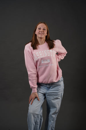 ADULT CREWNECK EMBROIDERY WASHINGTON DC PINK