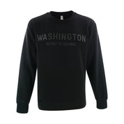 Washington DC Tonal Crewneck