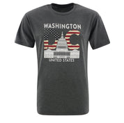 Washington DC Flag Letter T- shirt Black/Char