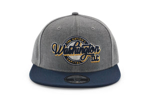 Washington DC Nation's Capital Round Logo- Gray/Navy