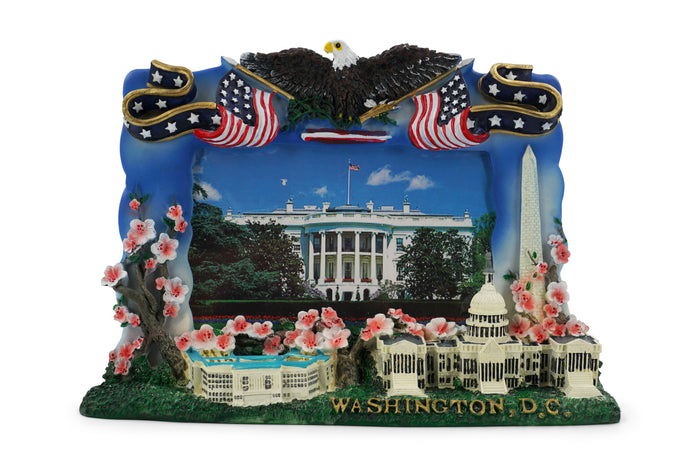 Cherry Blossom Pentagon & US Capitol Picture Frame