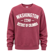 Washington DC "1790" Puff Print Crewneck