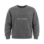 Washington DC Crewneck Acid Wash