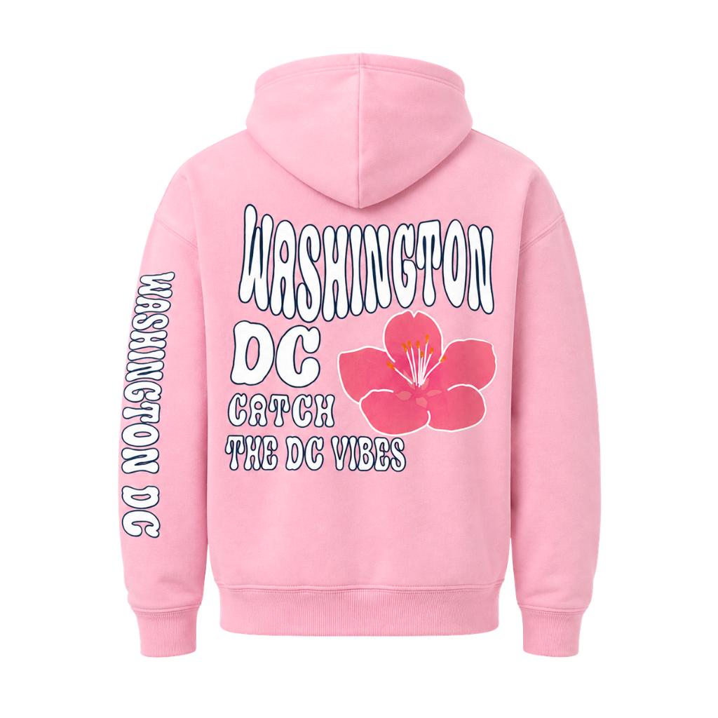 Washington DC Hoodie "Catch the Vibe"