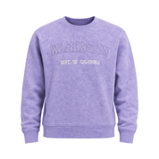 Purple sweatshirt with 'Washington Dist. of Columbia' text on a white background