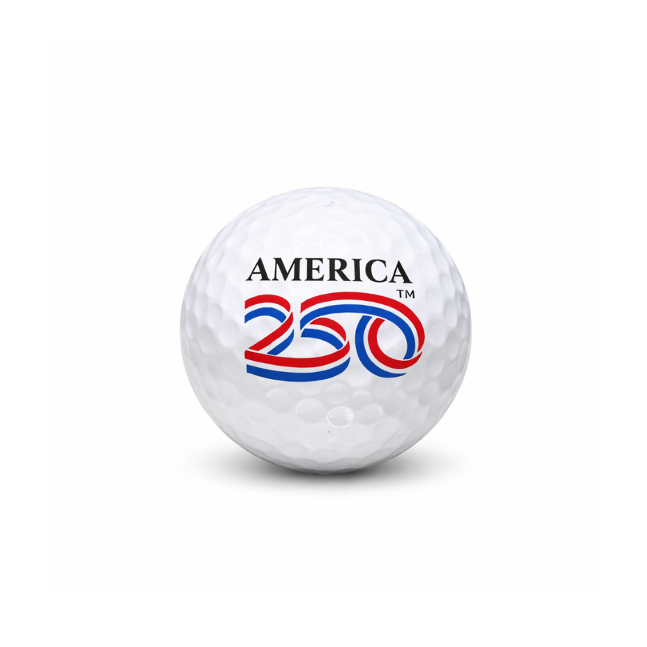 Untitleddesign_13_4c9ee397-5e0b-4946-b230-fbc657fdcb54.png