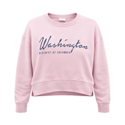 Pink sweatshirt with 'Washington District of Columbia' text on a white background