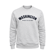 Gray sweatshirt with 'Washington District of Columbia' text on a white background