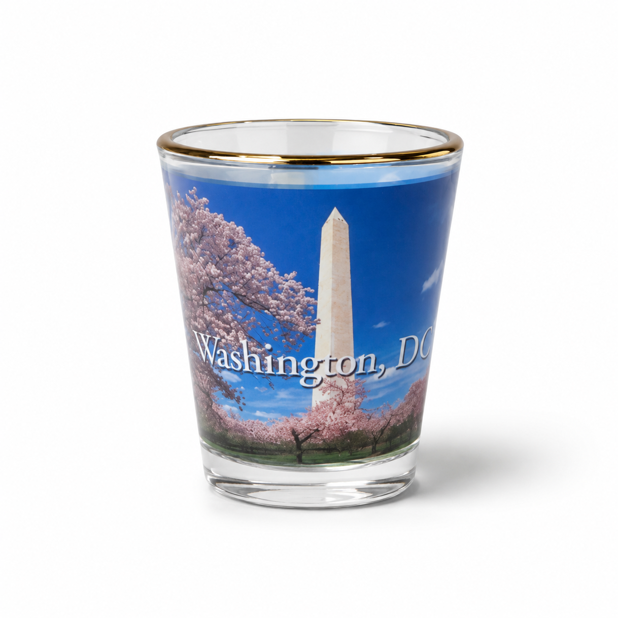 5 Landmark Buildings + Tulip Gold Rim Washington D.C Shot Glass