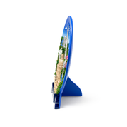 3D Washington D.C Panoramic Plate + Monuments
