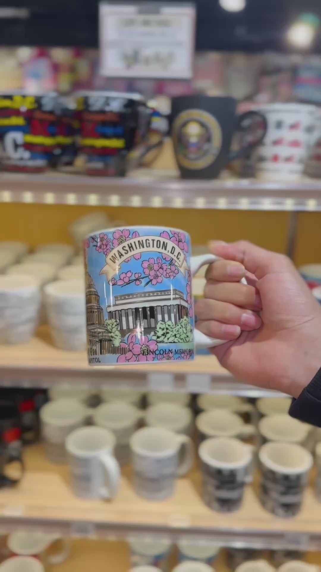 Washington DC Cherry Blossom Panorama Ceramic Mug – Capitol, White House & Memorial Landmarks