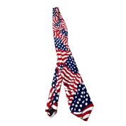 USA Flag Print Neck Tie