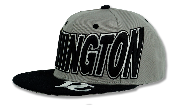 Washington DC Snapback Embroidered Baseball Cap Grey/Black