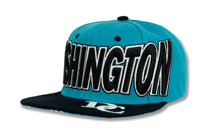 Washington DC Snapback Embroidered Baseball Cap Turquoise