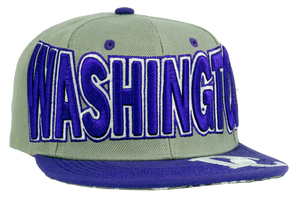 Washington DC Snapback Embroidered Baseball Cap Charcoal/Purple