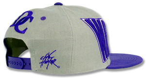 Washington DC Snapback Embroidered Baseball Cap Charcoal/Purple