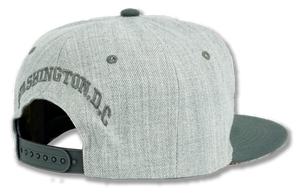 Washington DC Snapback Embroidered Baseball Cap Grey/Charcoal