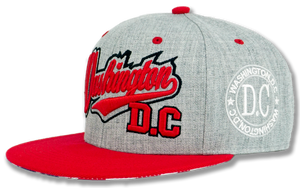 Washington DC Snapback Embroidered Baseball Cap Grey/Red