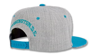 Washington DC Snapback Embroidered Baseball Cap Grey/Turquoise