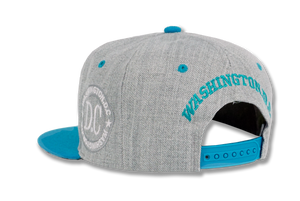 Washington DC Snapback Embroidered Baseball Cap Grey/Turquoise