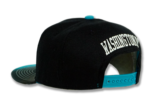 Washington DC Stitched Embroidered Snapback Hat Black/Turquoise