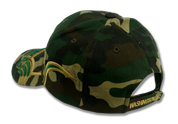 Big DC Embroidered Baseball Cap